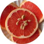 Экстракт косточек красного грейпфрута входит в состав Икарина для потенции