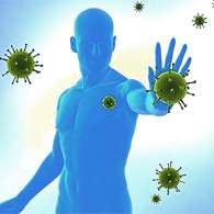 После приема курса Крианола происходит значительное усиление иммунитета
