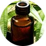 Одним из компонентов Редермиса от псориаза является масло чайного дерева