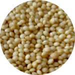 Одним из компонентов комплекса ЛедиСан от цистита являются семена амаранта