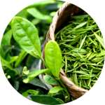 Зеленый чай - один из компонентов препарата Диалист от диабета